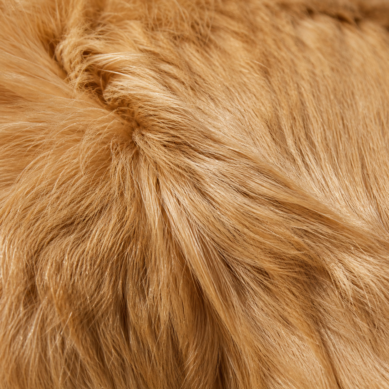 Fluffy, full-bodied coat texture / 蓬松丰盈的被毛质感